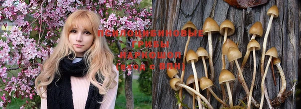 не бодяженный Белокуриха