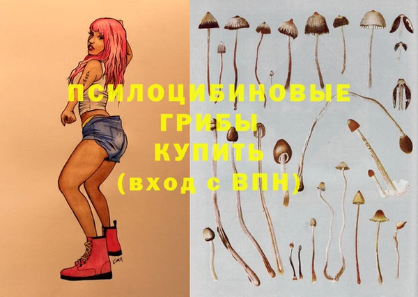 не бодяженный Белокуриха