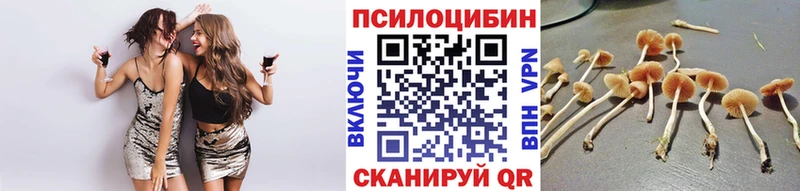 Галлюциногенные грибы GOLDEN TEACHER  Купить где  Берёзовка 